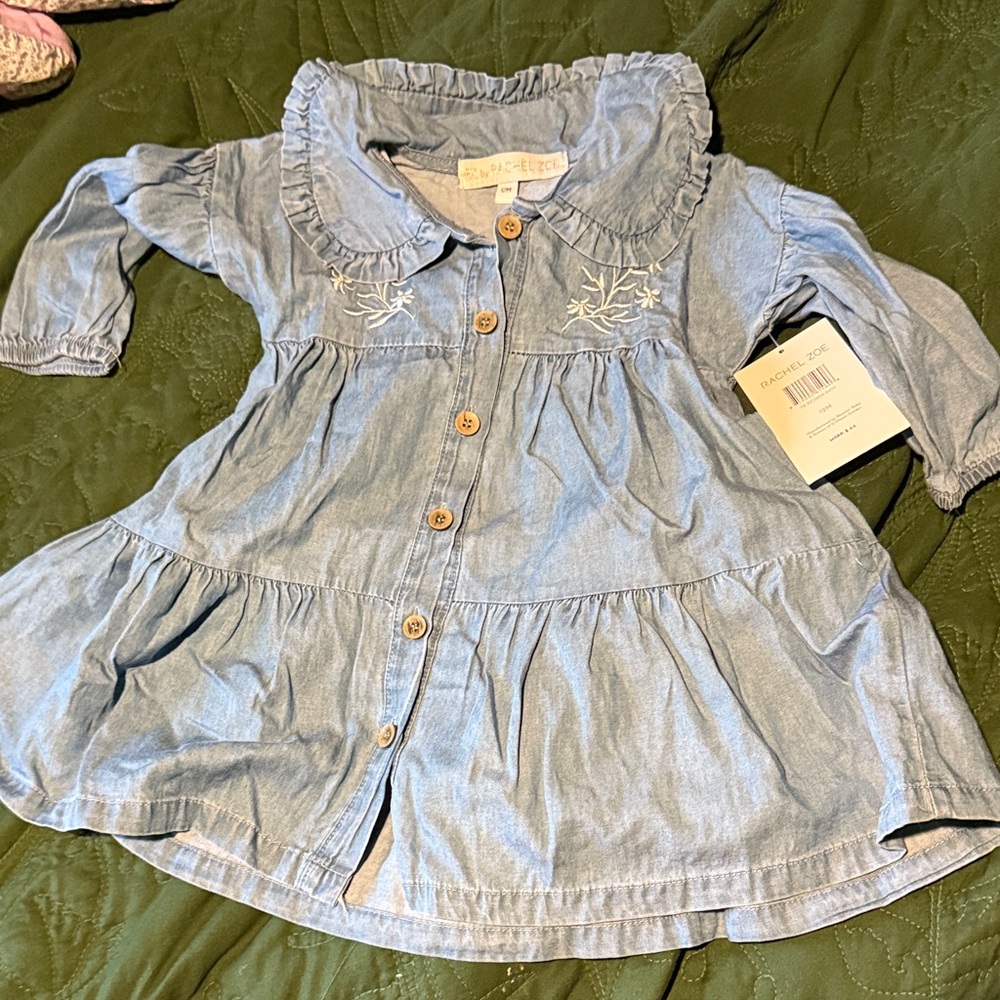 Denim Embroidered Button-Up Dress